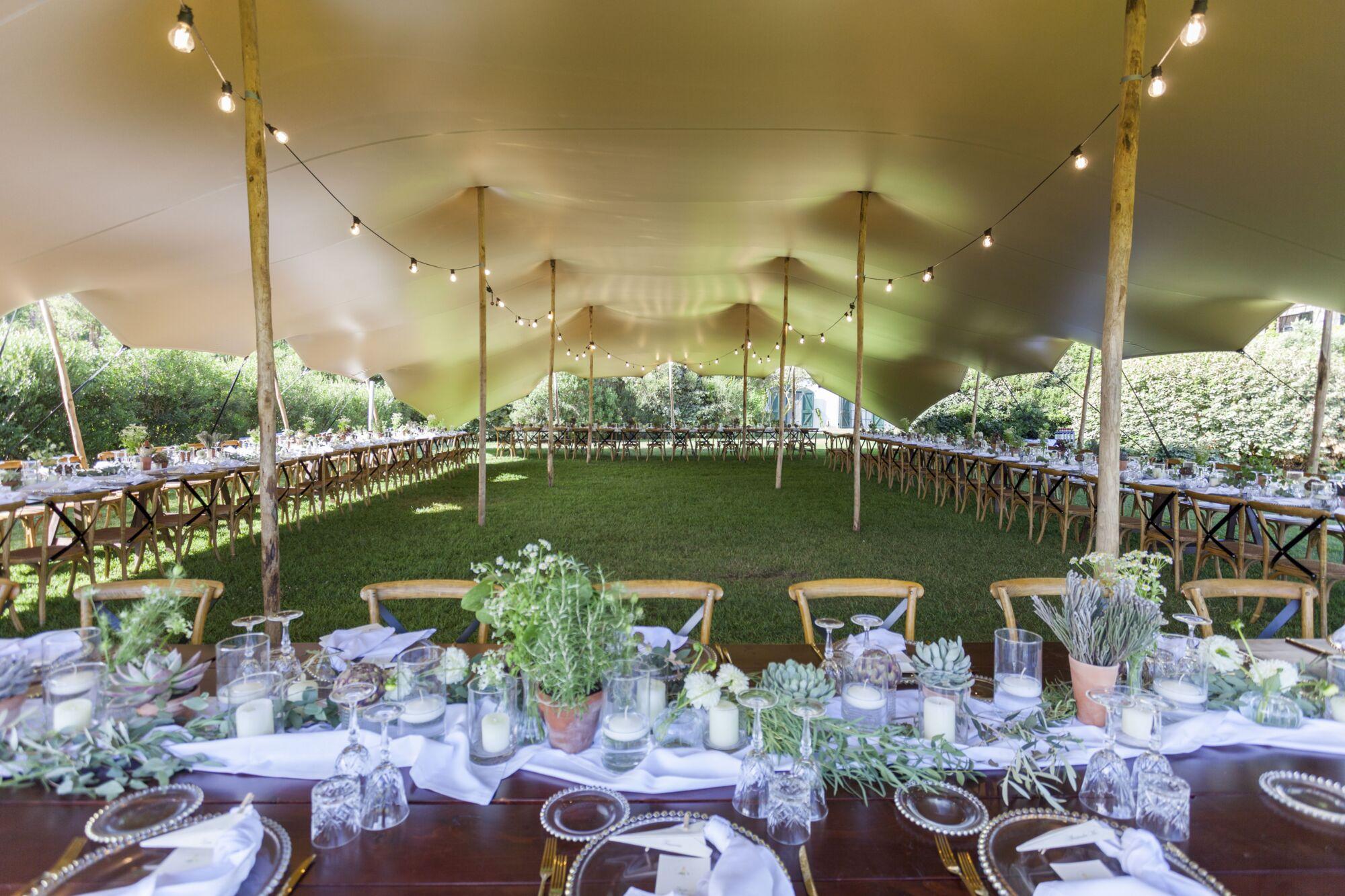 Triflexx stretch tent canvas (560 g/m²) with clamps - 15 x 20 m Cream/Cream