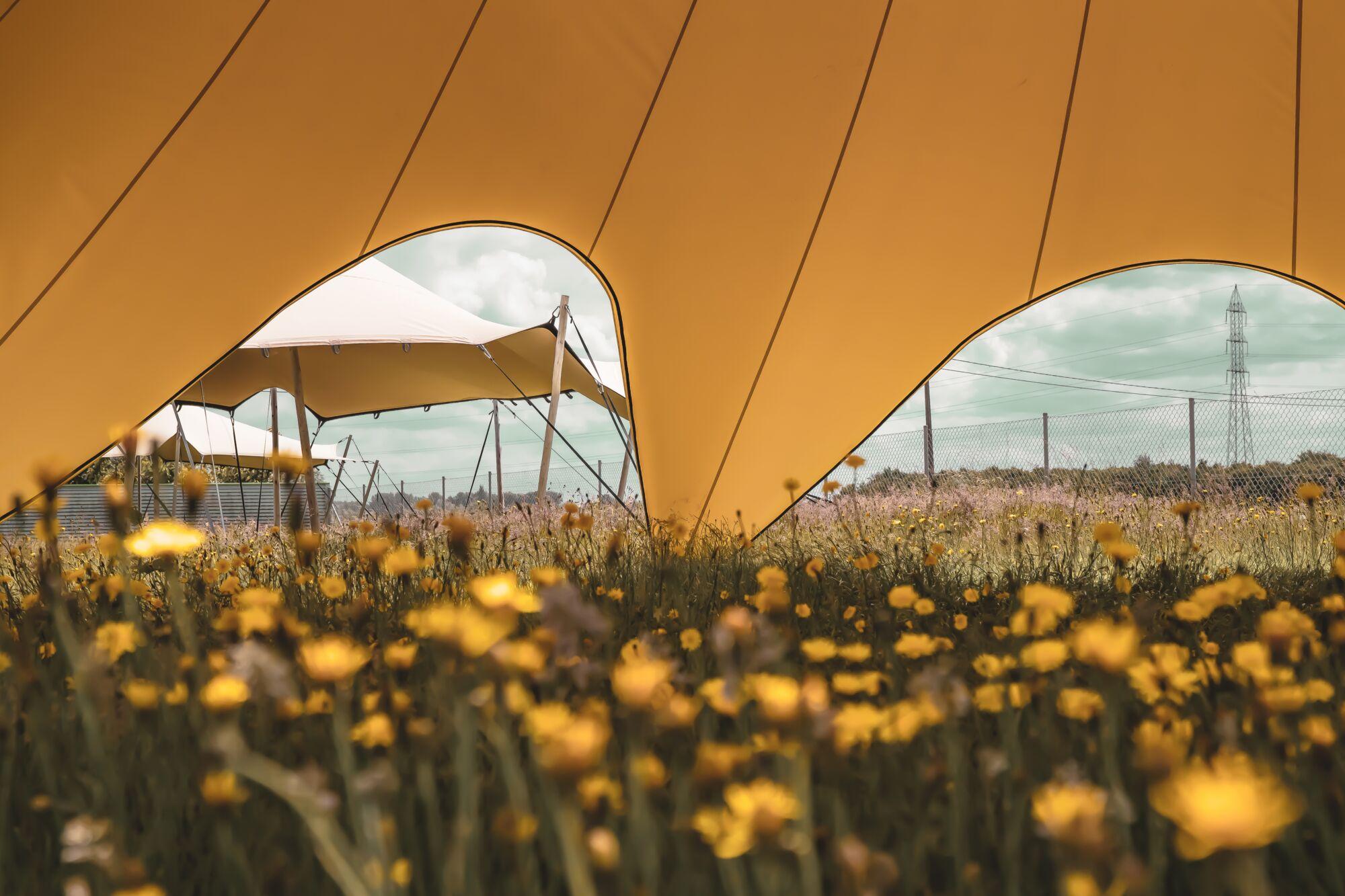 Star tent Stellar 9 textured - set 18 m - PVC - Roof sand - Frame anodised