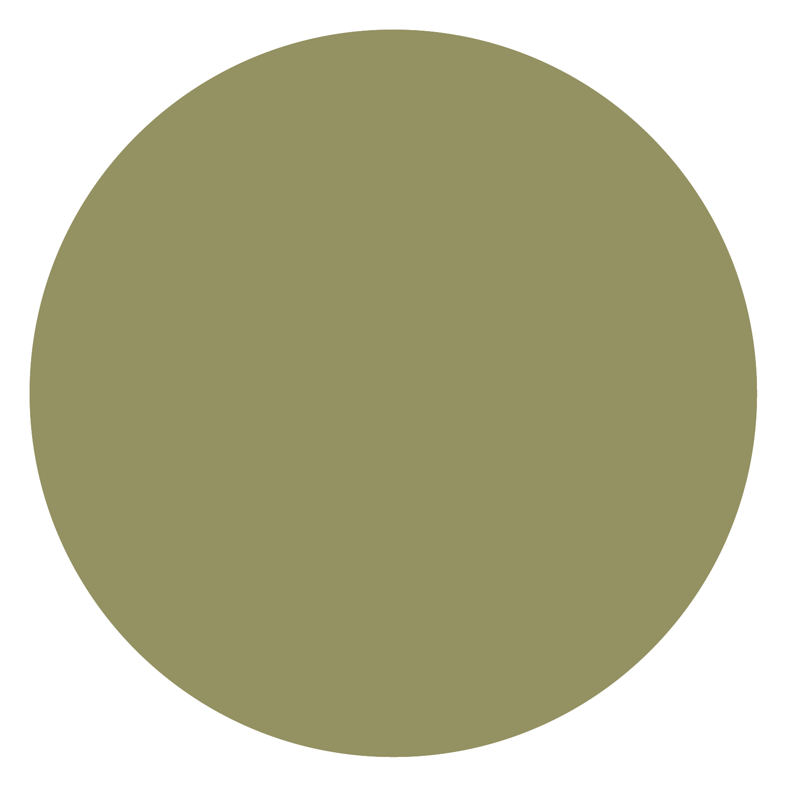 Olive grove